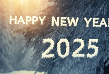 Happy New Year 2025 Hindi Wishes Images