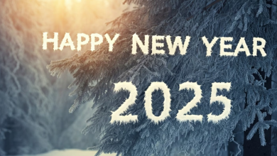 Happy New Year 2025 Hindi Wishes Images